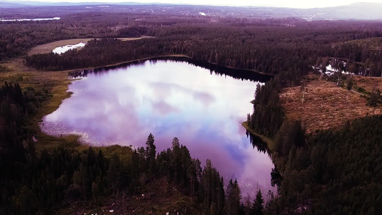 Skogssjö sedd från ovan i kvällsljus