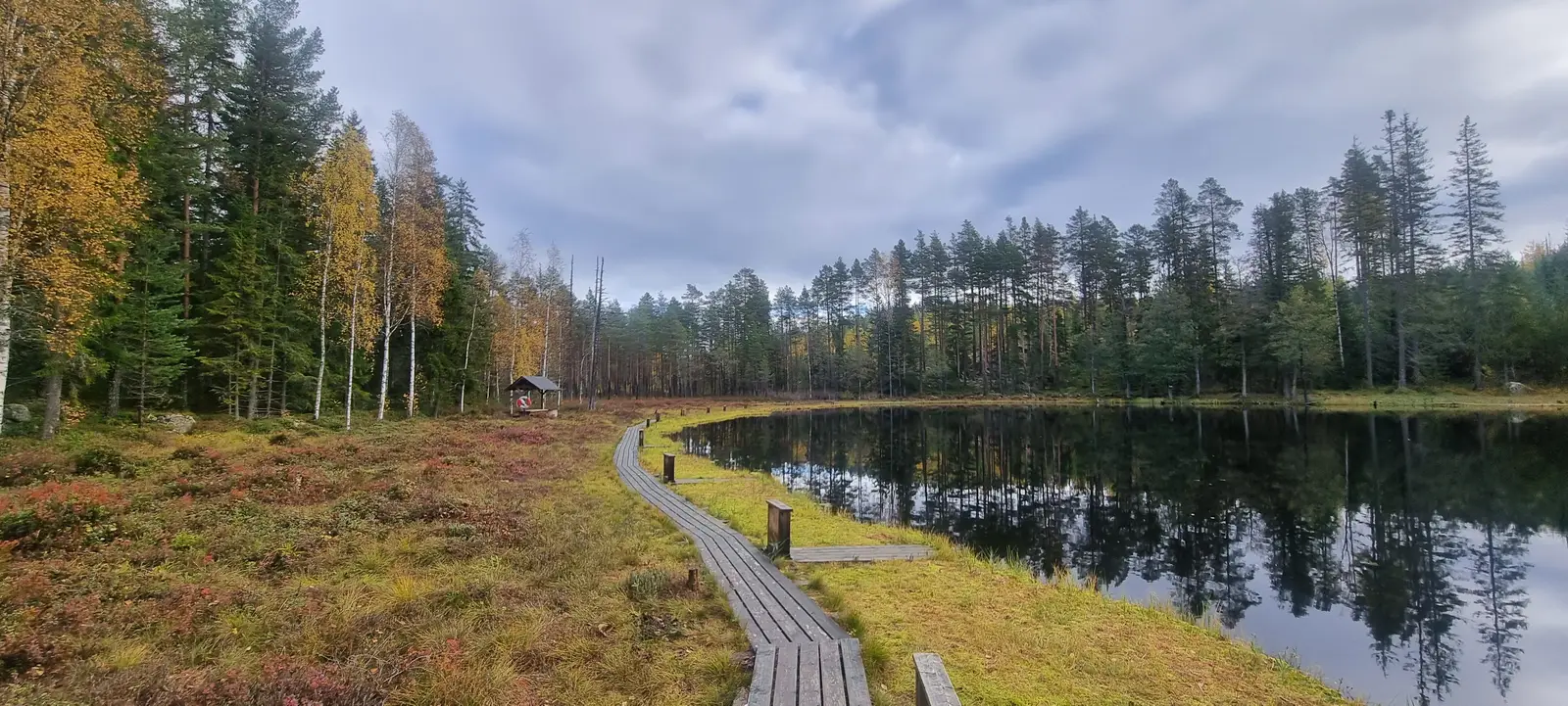 Landgång längs en skogstjärn en höstdag (Svarttjärn)